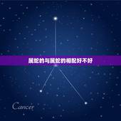 属蛇的与属蛇的相配好不好，属蛇的和属蛇的相配吗