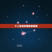 十二生肖的婚配表属猪，生肖猪跟什么最配，属猪的属相婚配表