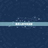 属虎人的今年运势，2022 年个人运势查询