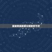 属猪男跟属猪女婚配好不好，属相婚配：男属羊和女属猪相配吗