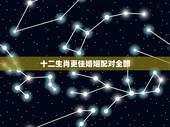 十二生肖更佳婚姻配对全部，婚姻配偶更佳生肖