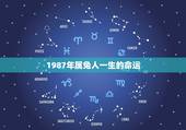 1987年属兔人一生的命运，1987年属兔是什么命 1987年出生人的