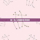 独一无二的猫咪名字招财，给猫咪起名字要有招财的意思