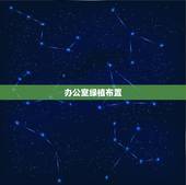 办公室绿植布置，办公室应该如何摆放花卉