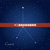 十二星座的属相最聪明，12星座的最佳属相搭配