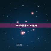 1959年属猪2022运势，属猪的2021年运势怎么样