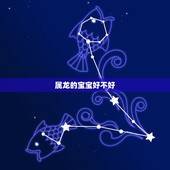属龙的宝宝好不好，属猪的生龙宝宝好不好