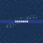 戊寅戊的禄在哪，壬禄是什么意思