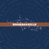属狗和属兔的关系怎么样，属狗的跟属兔的和属虎的配对怎么样，哪个更适合？