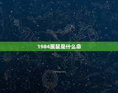1984属鼠是什么命，1996属鼠是什么命