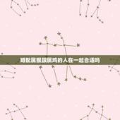 婚配属猴跟属鸡的人在一起合适吗，属鸡和属猴相配吗
