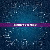 男孩名字大全2021属猪，高分，起名，属猪，男孩