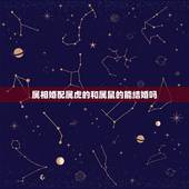 属相婚配属虎的和属鼠的能结婚吗，属老鼠的和属虎的结婚好吗