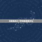 贝属兔的小一岁的属相是什么，属兔的贵人是什么属相