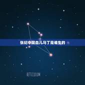 张纪中混血儿马丁是谁生的，张纪中获混血儿子跪地洗脚，长女比继母大4岁，