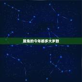 属兔的今年都多大岁数，属牛的今年多大