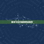 属羊今日打麻将财运如何，1979年3月6日属羊人2022年运势及运程女