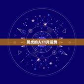 属虎的人11月运势，属虎人11月份运势