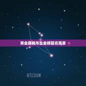 黄金属相吊坠金榜题名寓意，生肖首饰都有哪些寓意？