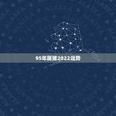 95年属猪2022运势，95年生肖猪2021年运势