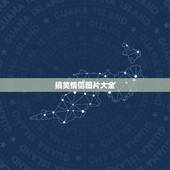 搞笑情侣图片大全，这个情侣图片的另一张图片