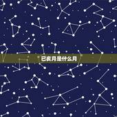 已亥月是什么月，己亥年是什么意思