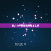 狗女与羊男婚配财运怎么样，属狗女和属羊男属相不合吗？
