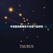 牛和鼠的属相合不合在一起好吗，属牛和属鼠相配吗？结婚后合吗？