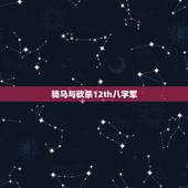 骑马与砍杀12th八字军，骑马与砍杀风云三国2.8神