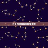二十四种烧香图解疾病香，二十四香谱烧香图解待机香是什么意思？