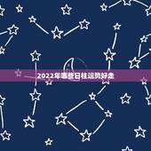 2022年哪些日柱运势好走，2023年王炳森辛日柱运势分析？