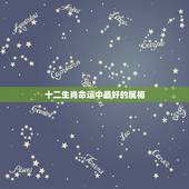 十二生肖命运中最好的属相，十二生肖中属什么的命最好？