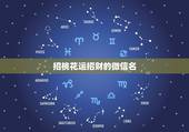 招桃花运招财的微信名，表示招财好运气的微信名有哪些？