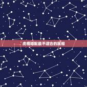 虎相婚配最不适合的属相，属虎的人和什么属相的人结婚最好 属虎婚配宜忌