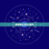 虎年的人2022运气，2022年壬寅年运势