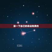 算一下自己的命运免费的，免费算卦我的命运我农历19651229生人