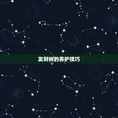 发财树的养护技巧，发财树的养殖方法和注意事项分别是？