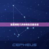 鼠鼠婚配几月份的生日最合适，属鼠的人几月结婚最好