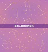 属牛人最聚财的网名，1973年出生属牛的旺财微信名