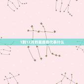 1到12月的星座各代表什么，十二星座从一月到十二月分别是什么星座啊