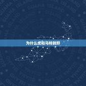 为什么虎和马特别好，虎和马谁更旺谁