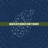 属春天的牛和腊月马哪个属相好，属牛的跟什么属相最好