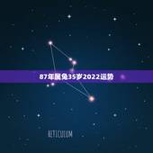 87年属兔35岁2022运势 1987属兔的桃花贵人
