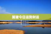 属猪今日运势财运，属猪的今日幸运色