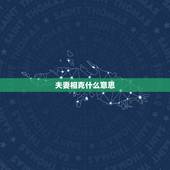 夫妻相克什么意思，夫妻相克会有什么后果