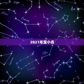 2021年宝小名，2021年1月28日下午15:09分出生的男孩（