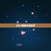 2021属相牛的名字，给2021年出生的属牛宝宝的女孩名字有哪些？