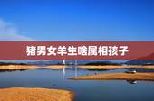 猪男女羊生啥属相孩子，属马和属羊的要什么属相的孩子好