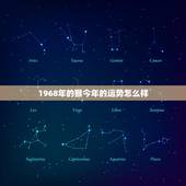 1968年的猴今年的运势怎么样，1968年生肖猴2022 年运势大全