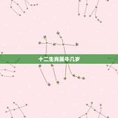 十二生肖属牛几岁，十二生肖岁数年龄表